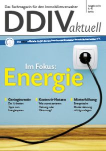Cover DDIVaktuell 03 2013